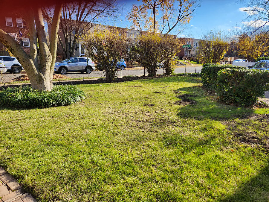 Furnished Finder property 625836_1 photo 10
