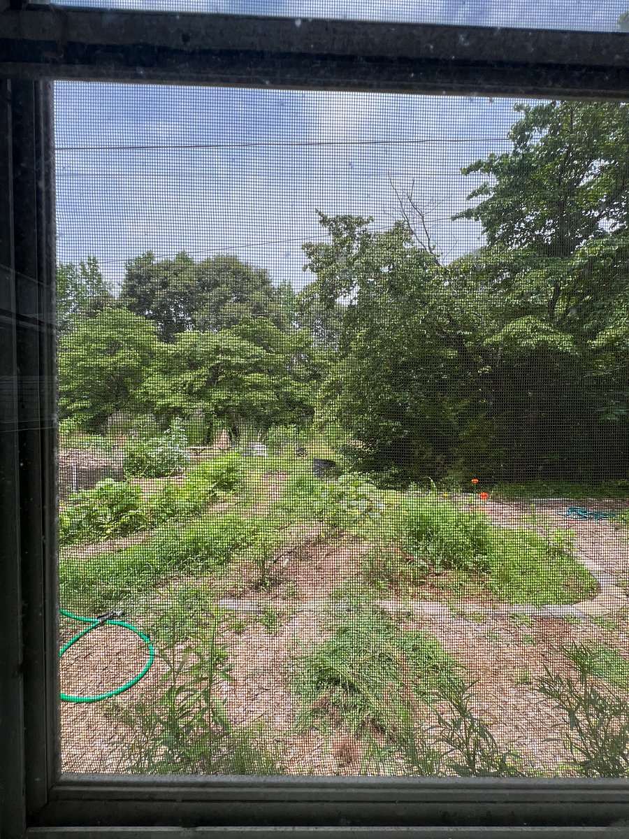 View of the garden from one of your windows.