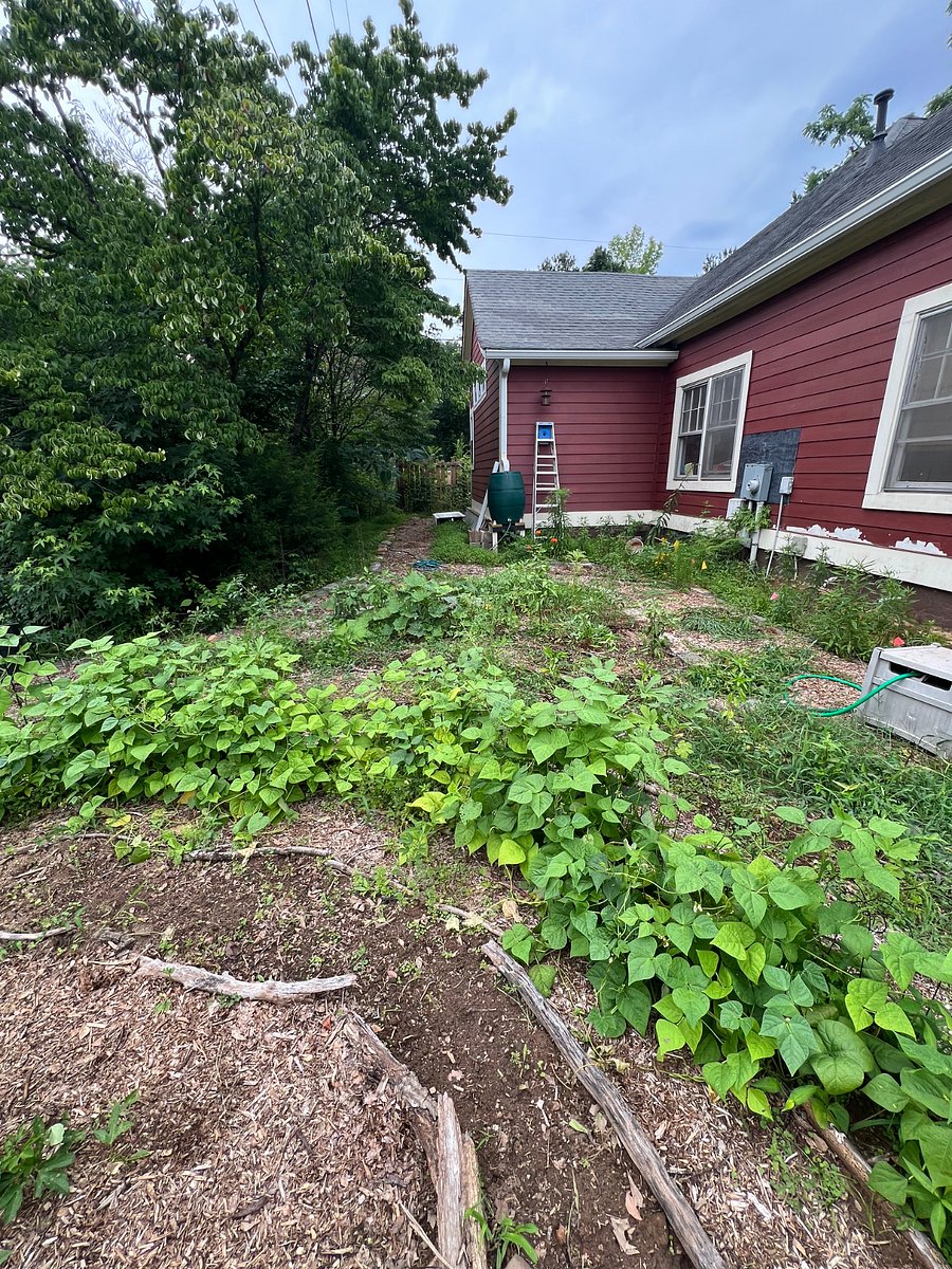 Our garden! You will have regular access to garden food, if you would like, and are welcome to work in the garden with us if you would enjoy that.