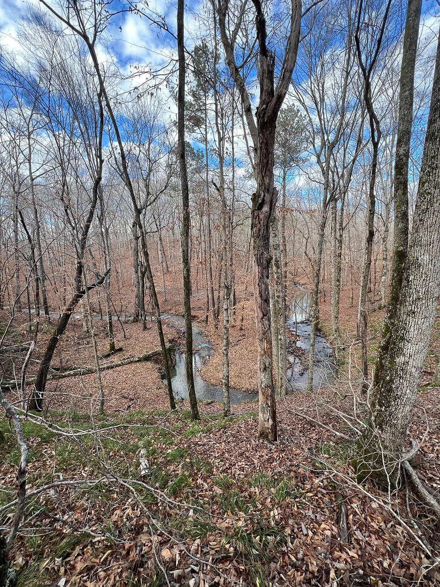 More beauty nearby!