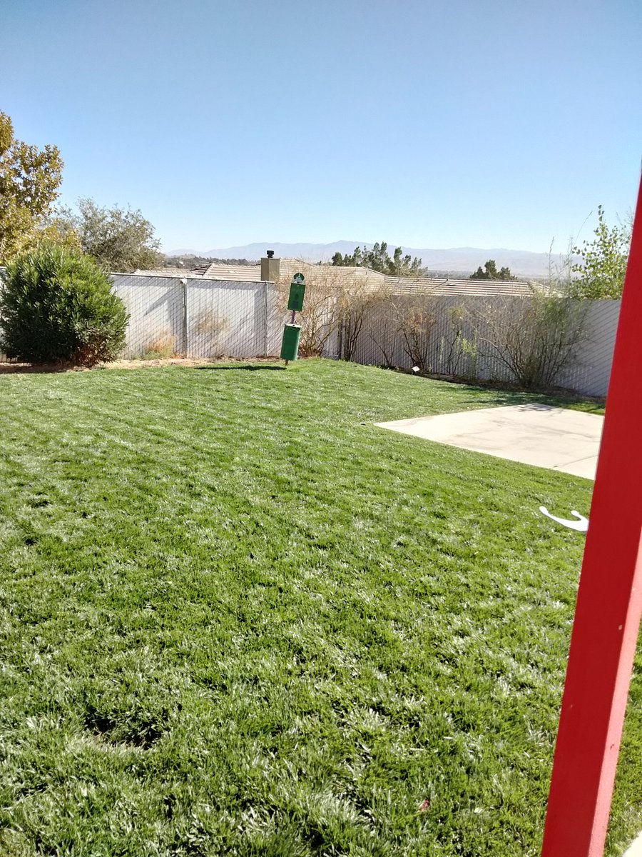 Doggy Park