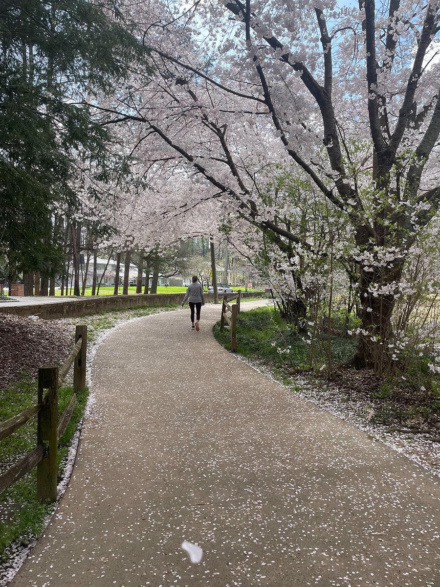 3.5 miles of lighted walking paths around the Golf Course