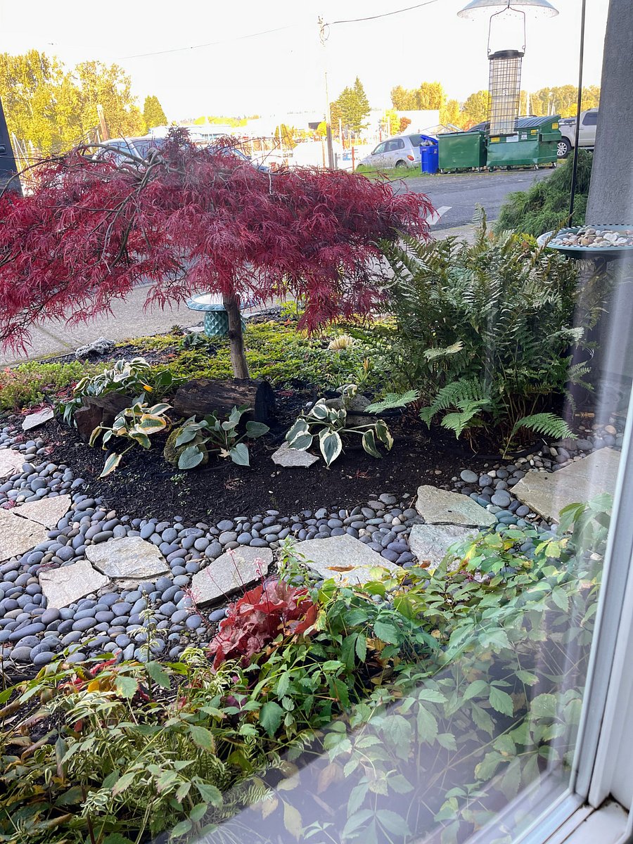 View of garden from bedroom window