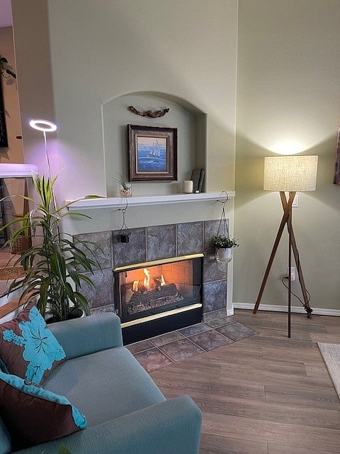 Living Room Fireplace