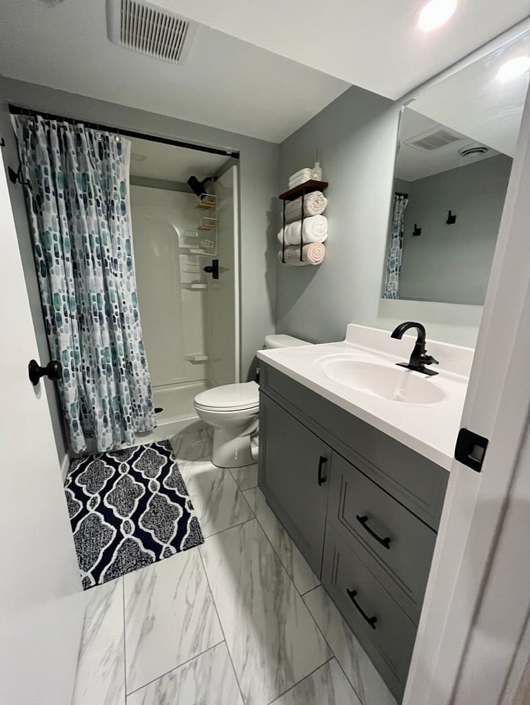 Lower level bathroom
