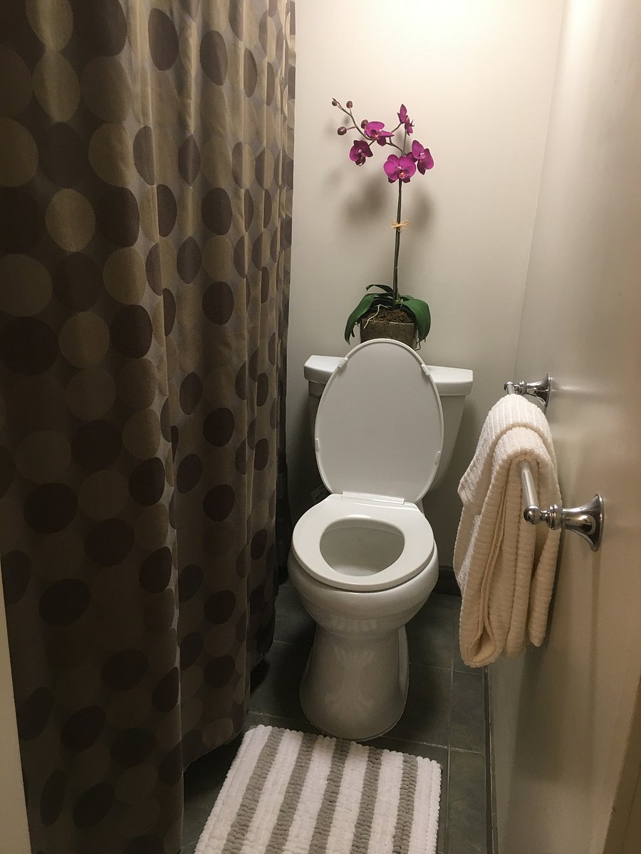 Furnished Finder property 626320_1 photo 6