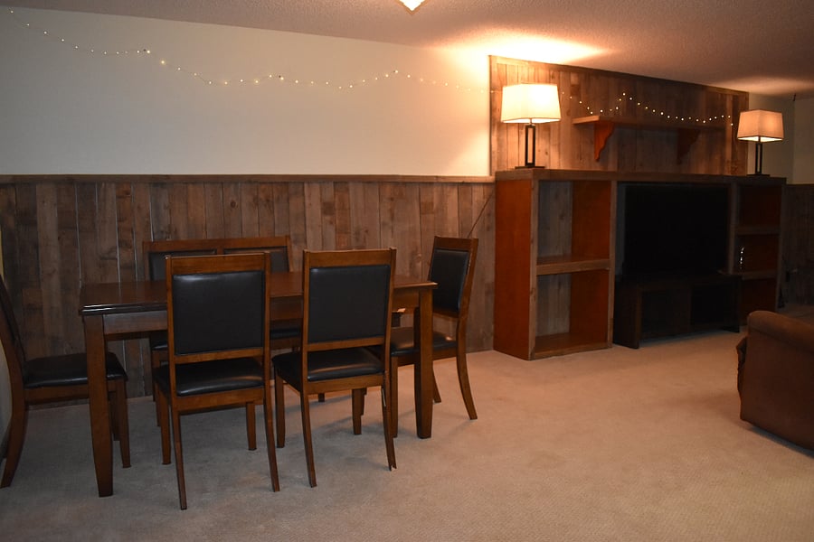 Lower level living room