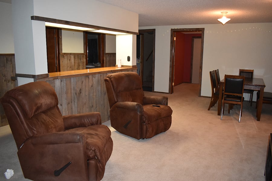 Lower level living room