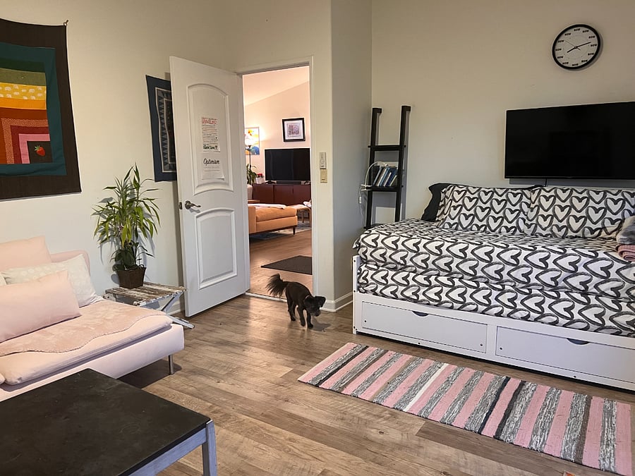 Second bedroom with daybed that pulls out to King size bed
