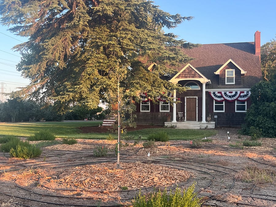 This is the main house, the guest house is behind the main house.