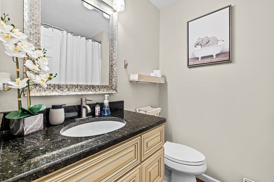 Guest bathroom