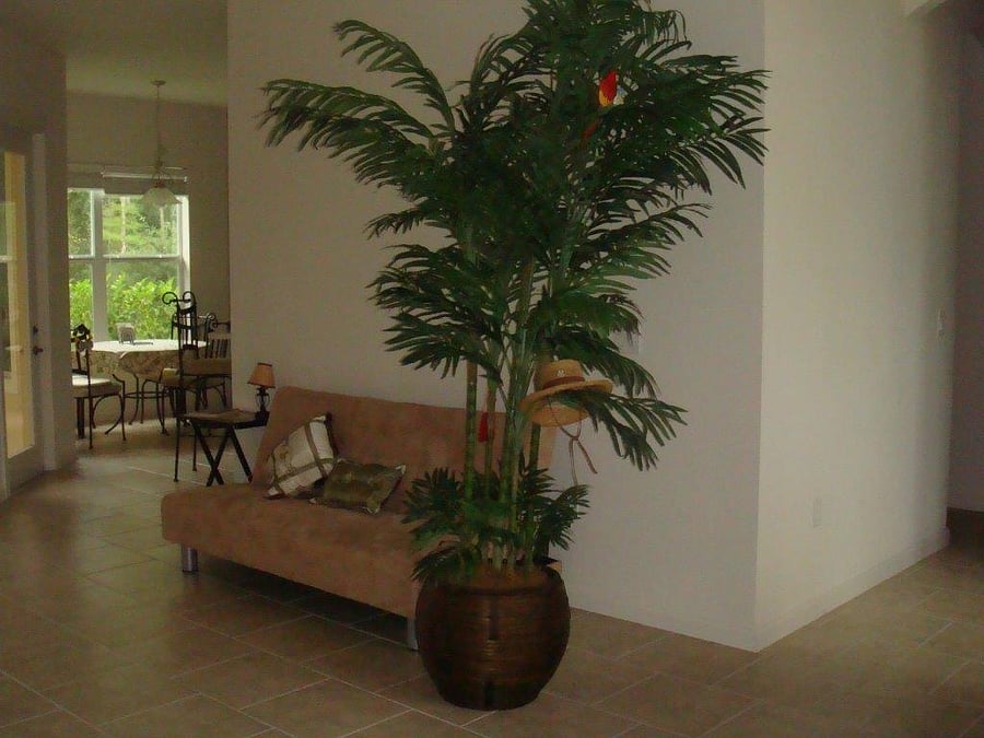 Furnished Finder property 626916_1 photo 13