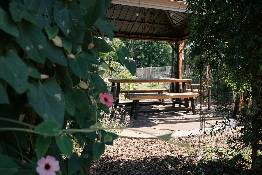 Pergola with spring blooms