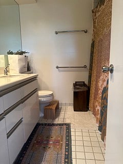 Double Sinks, Bathtub, Filtered shower water.