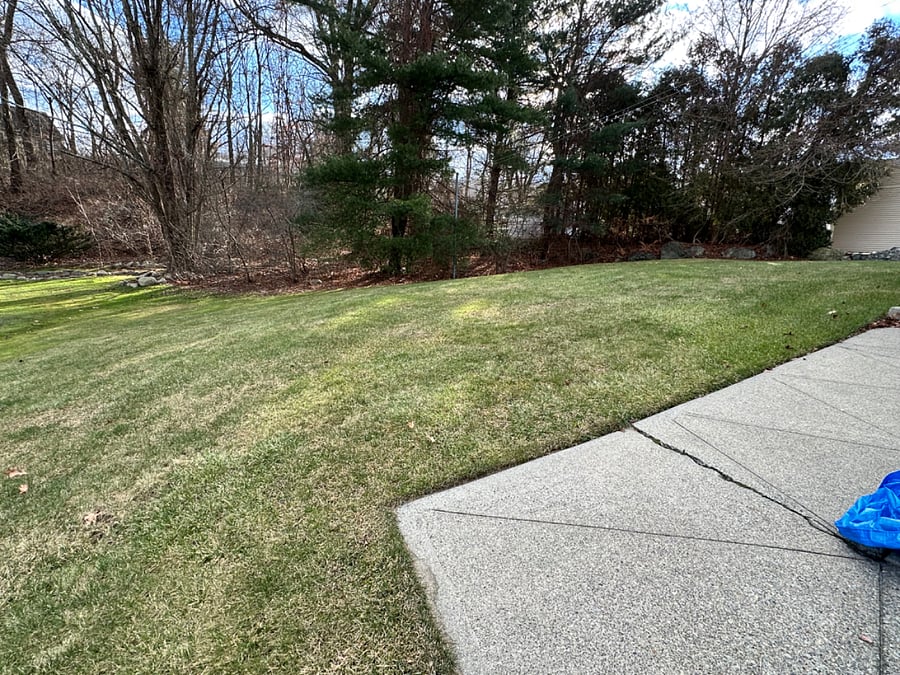Backyard has auto floodlight