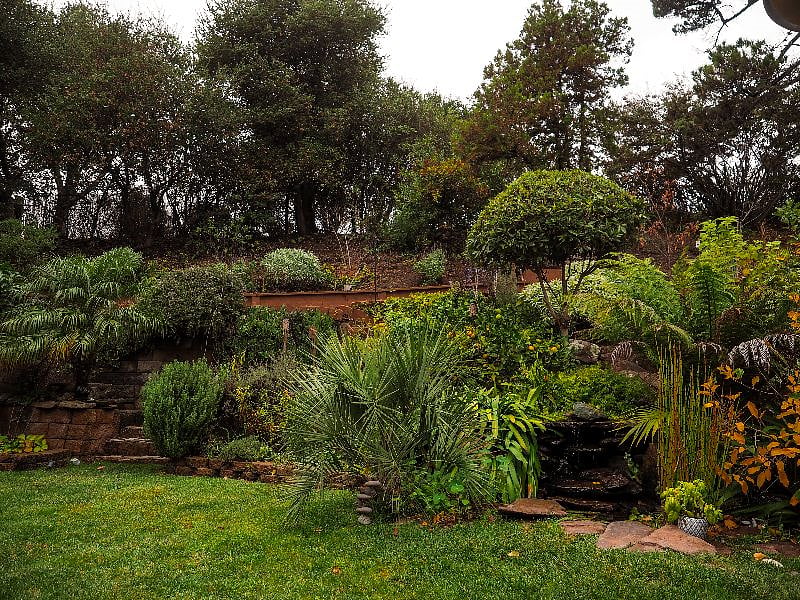 Backyard garden and waterfall 