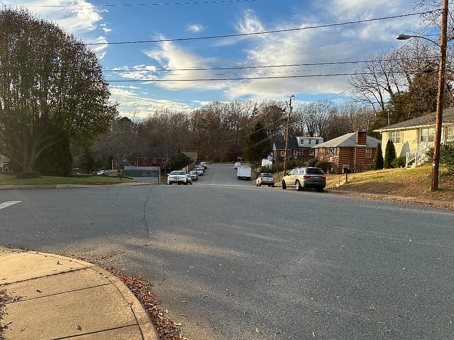 Garden/Camellia Dr. View