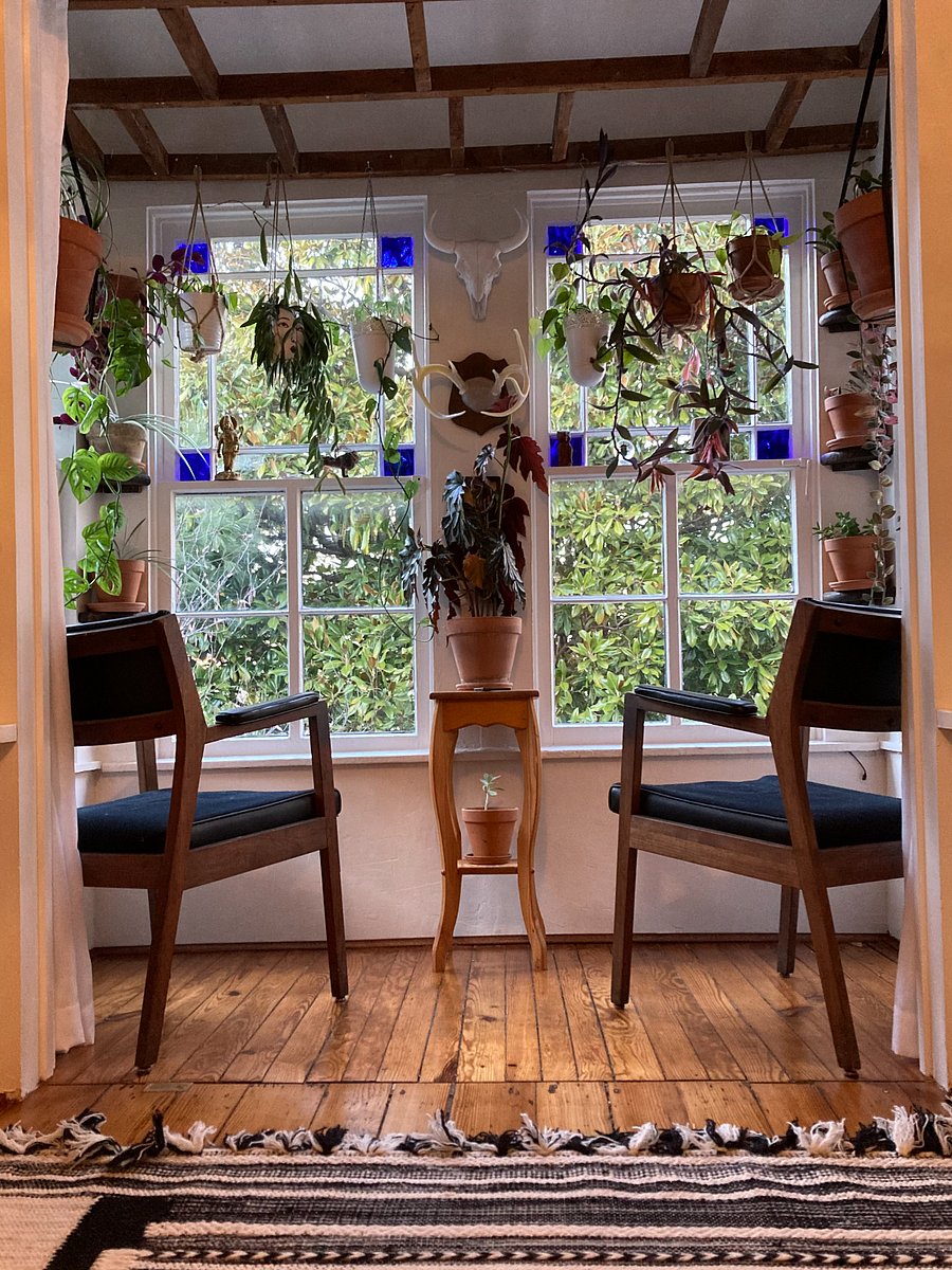View of magnolia tree in master bedroom, well maintained house plants