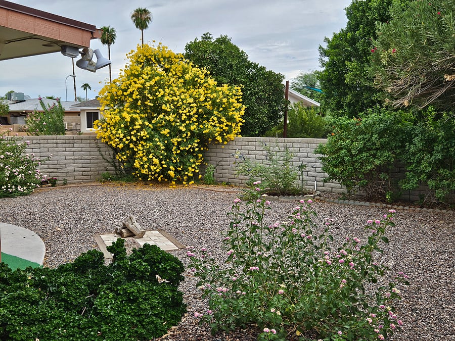 Furnished Finder property 627637_1 photo 22