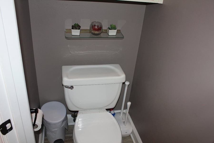 Master bath toilet