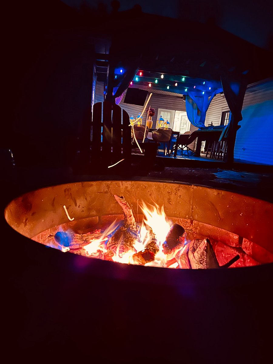 Backyard after dark- free firewood