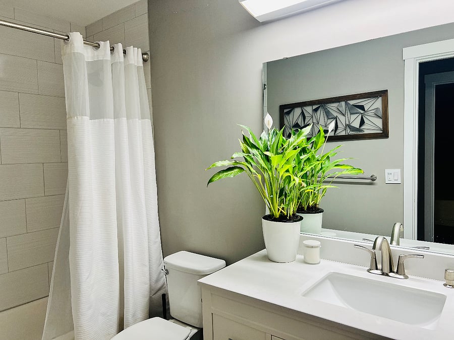 Furnished Finder property 627664_1 photo 9