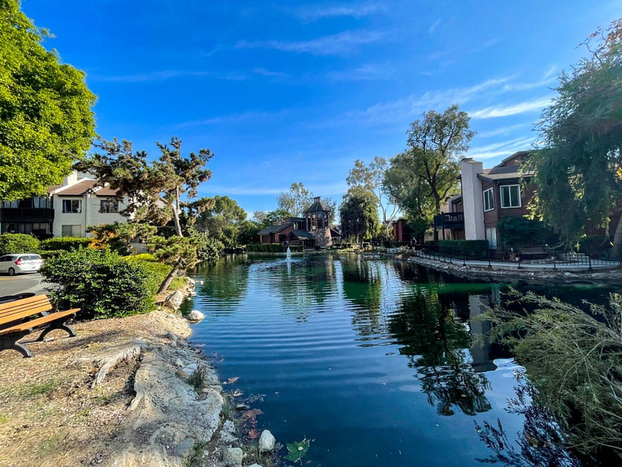 Pond with fountain and ducks and turtles