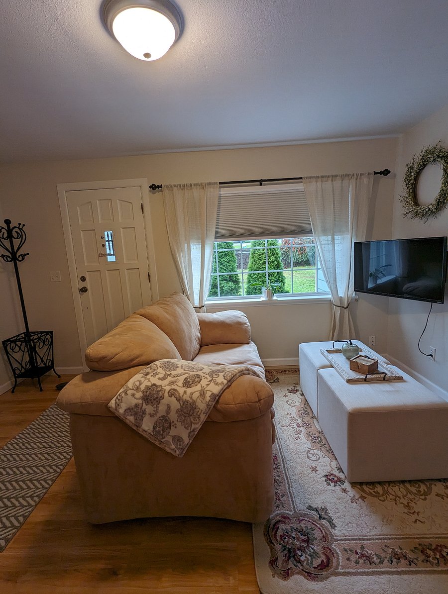 Living Room / Window