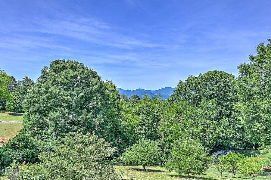 Furnished Finder property 628019_1 photo 15
