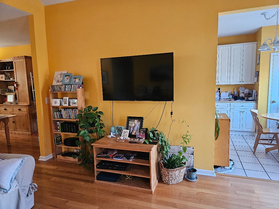 66" wall mounted smart tv, dvd player, cd's, cassette tapes, radio and an Xbox 
