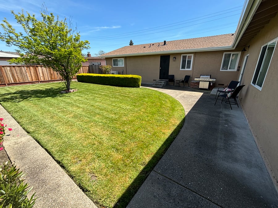 Furnished Finder property 628222_2 photo 12