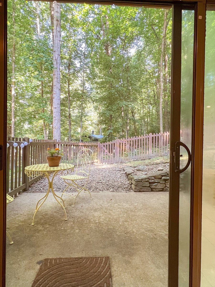 View from the dining table looking out onto the fenced in yard.