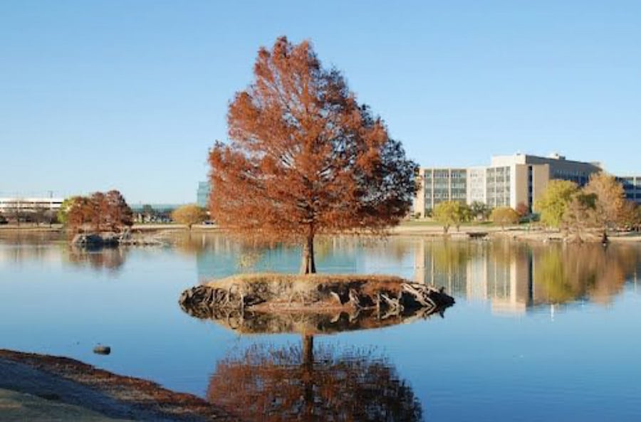 Maxey Park Pond