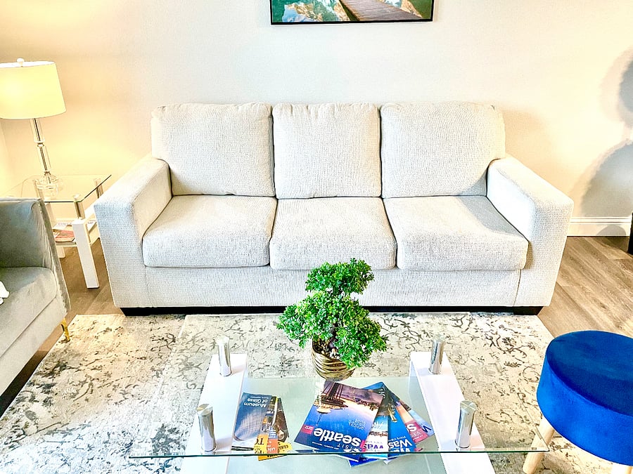 New couch without cover