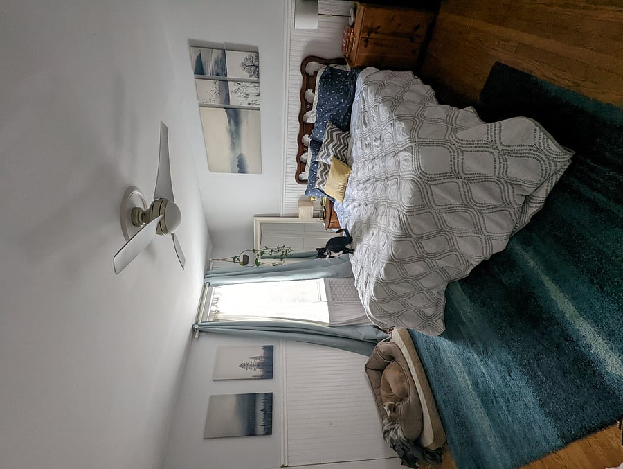 The bedroom. The cat no longer lives there. 