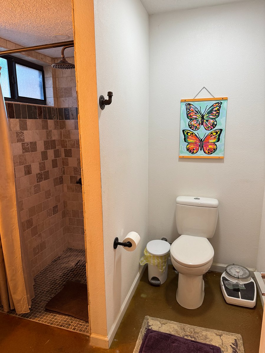 Furnished Finder property 628694_2 photo 12