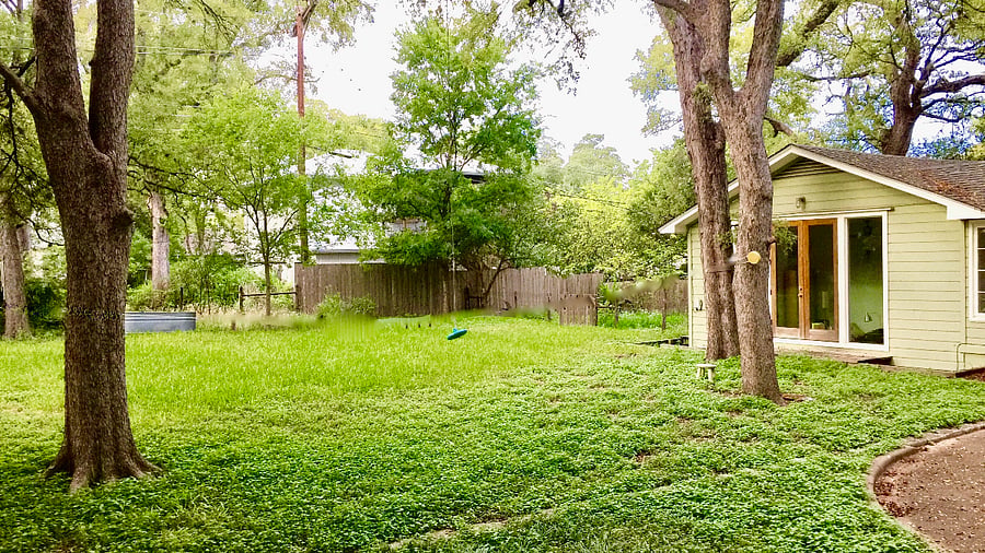 Backyard