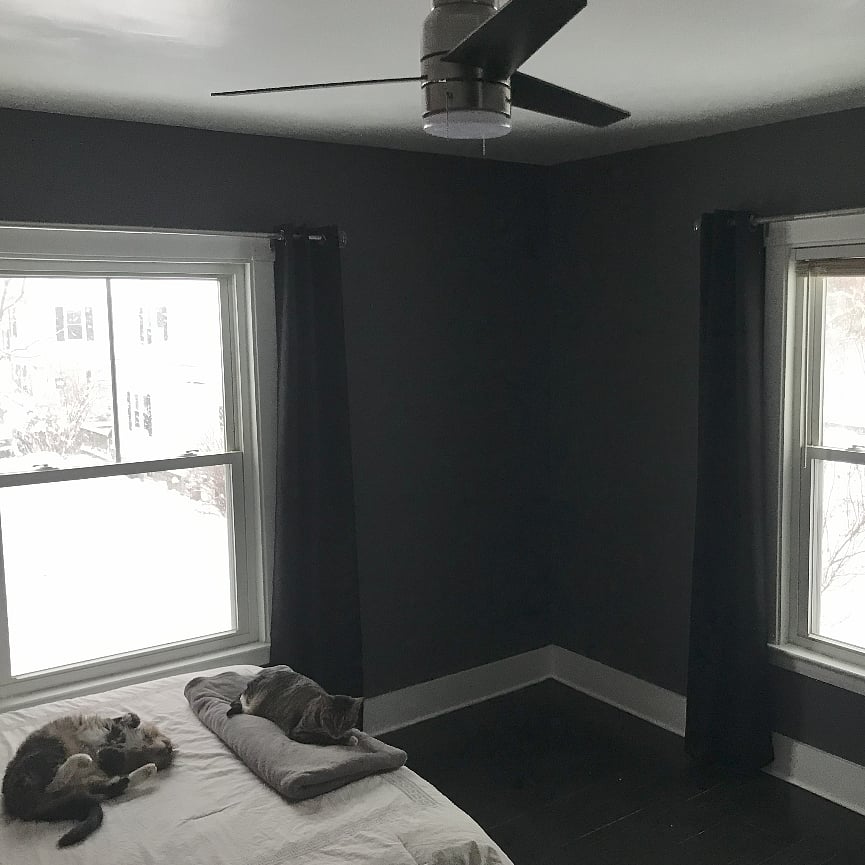 Bedroom 2A - window views
