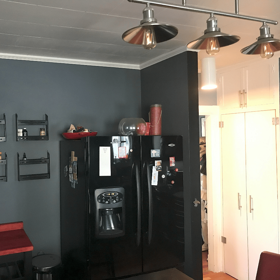 Kitchen - Refrigerator and Pantry