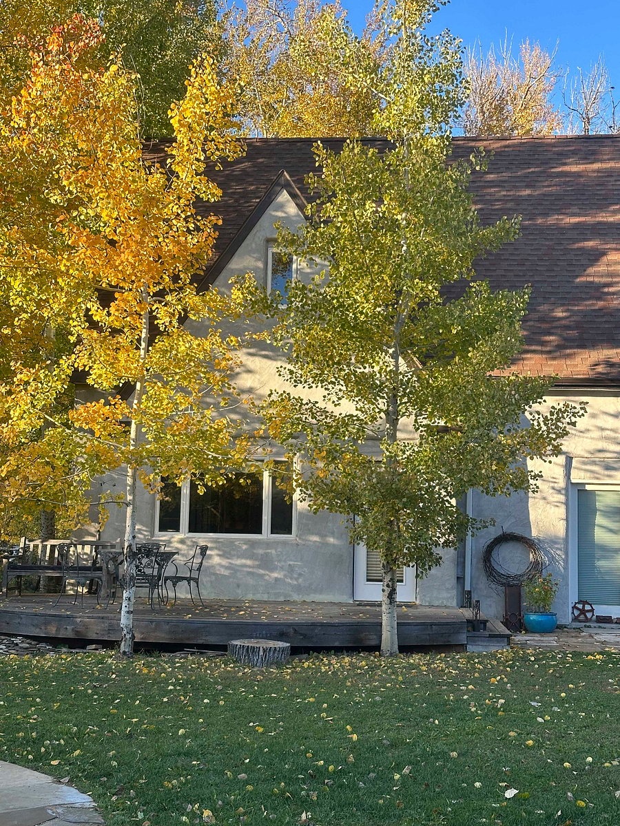 Deck and entrance