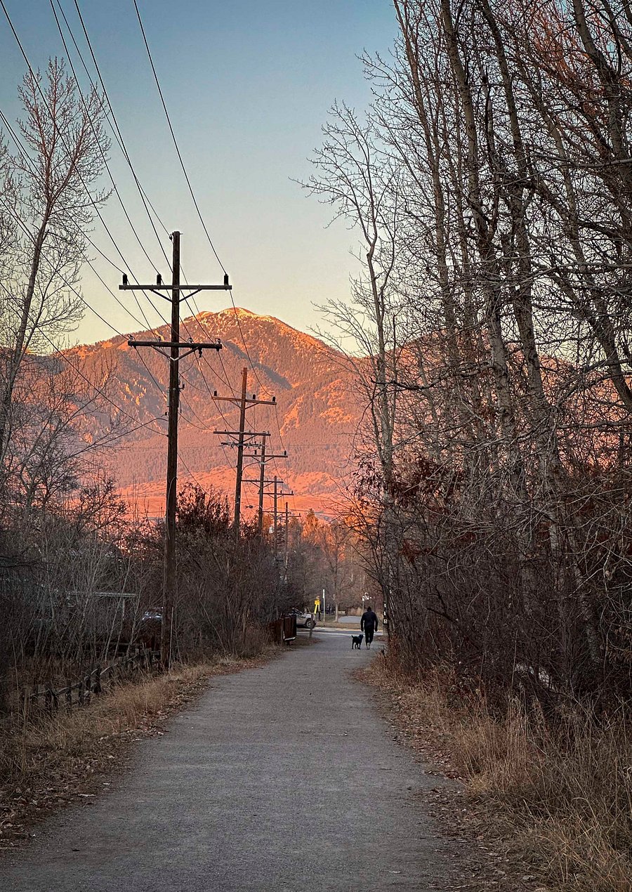Trail towards library

