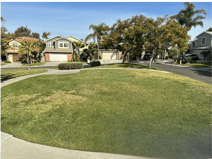 Furnished Finder property 629584_2 photo 27