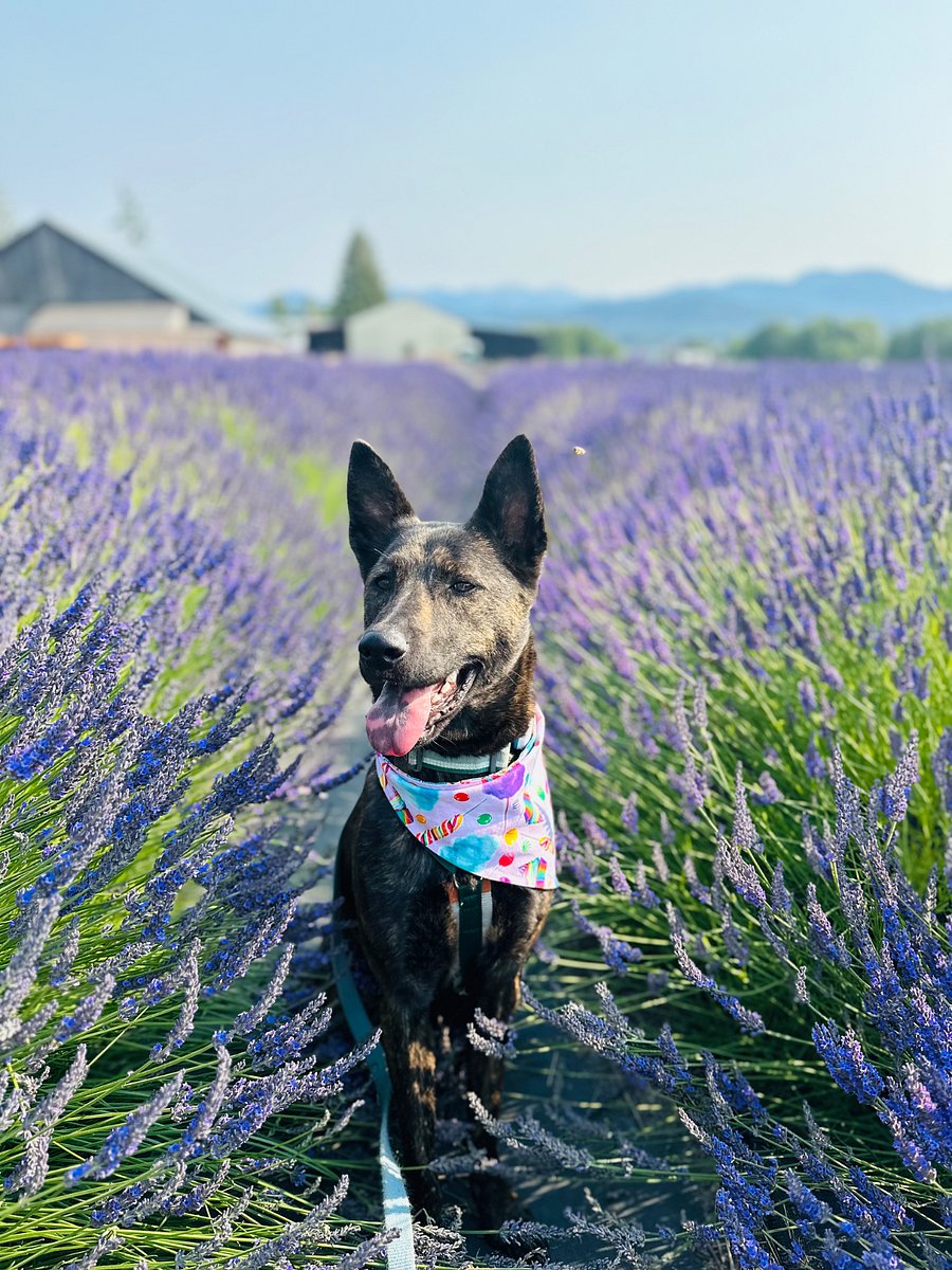 Ripley is waiting to meet you!