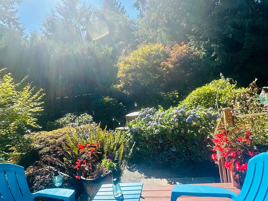 Deck/yard area
