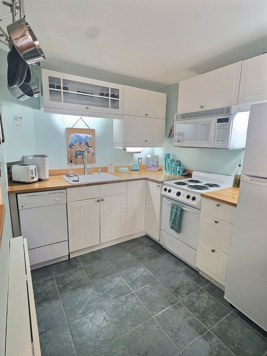 Kitchen has electric range, dishwasher, fridge, microwave, stand mixer, spices, and more