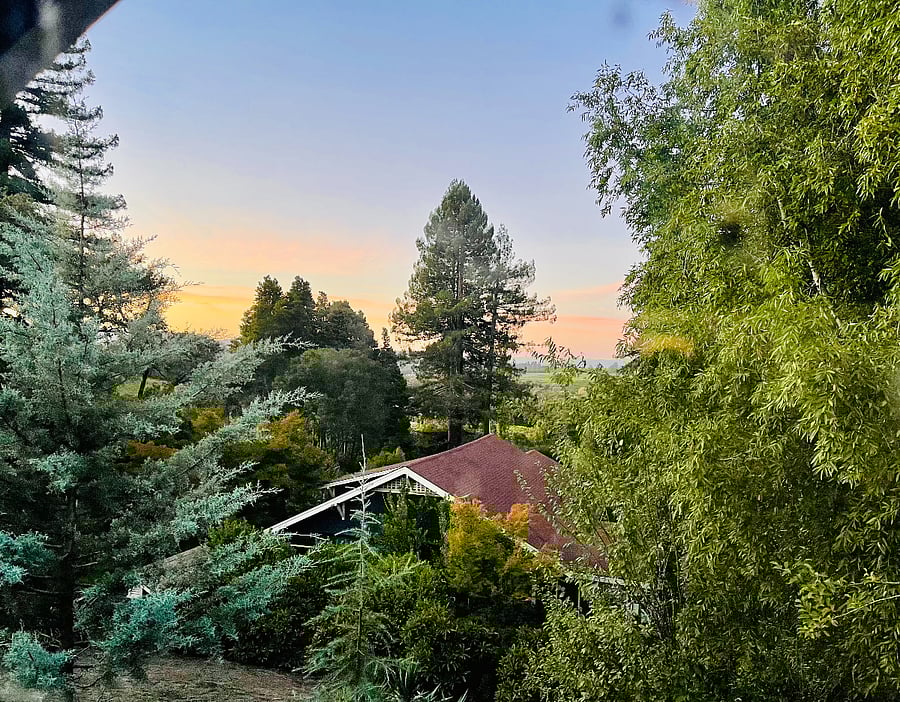 Sunset views