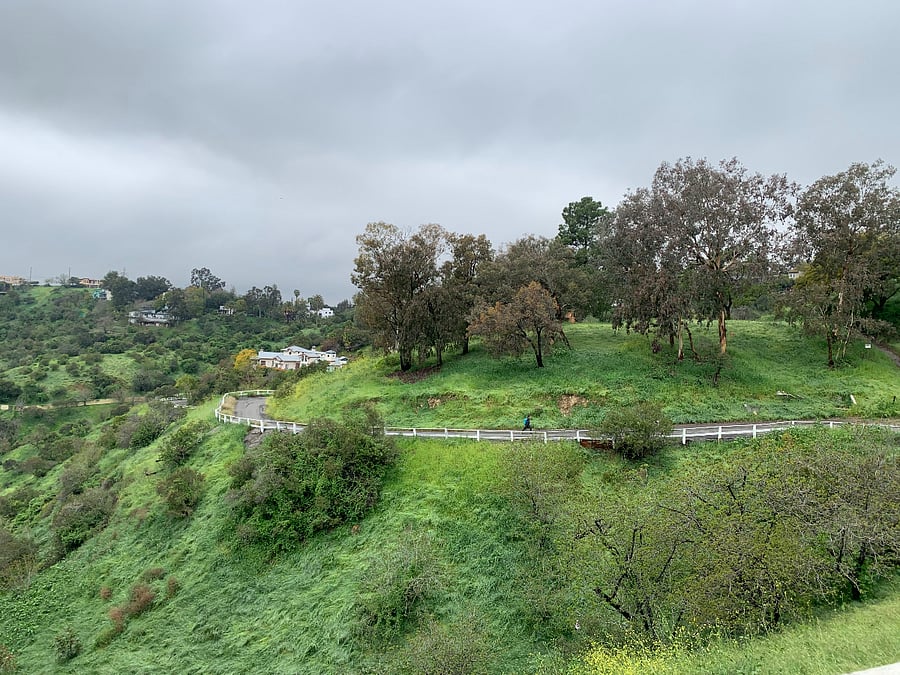 We are in a great neighborhood for walks.