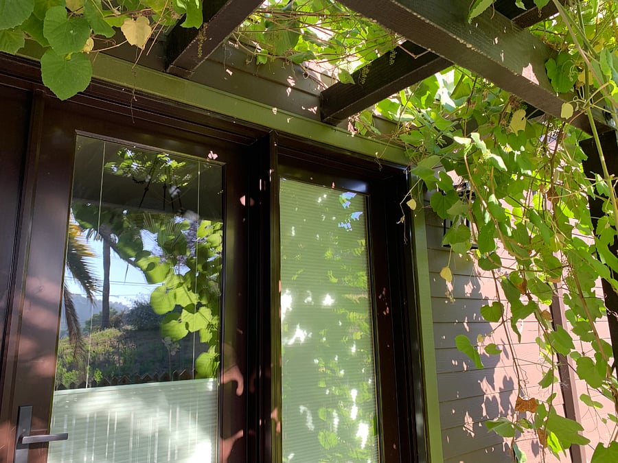 Front door.