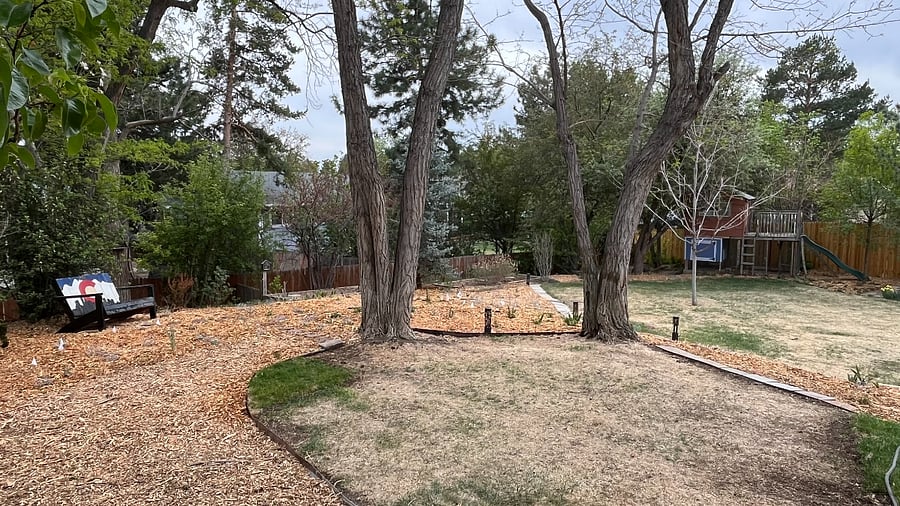 Another view of the newly mulched area with perennials waiting to pop with color.