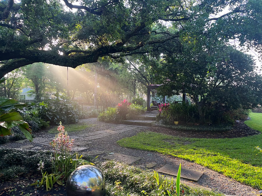 Back yard magic